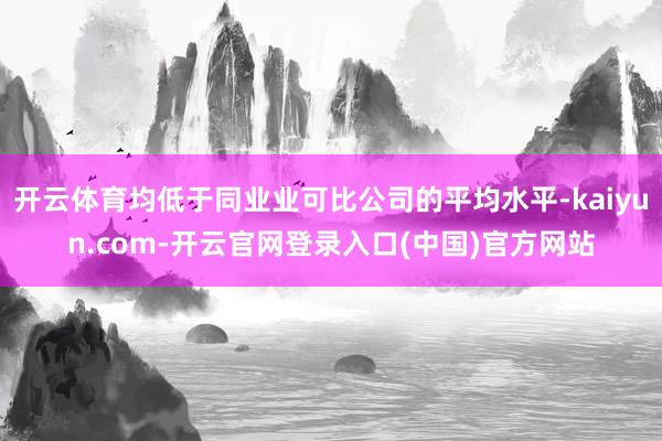 开云体育均低于同业业可比公司的平均水平-kaiyun.com-开云官网登录入口(中国)官方网站