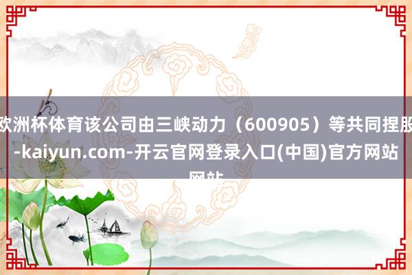 欧洲杯体育该公司由三峡动力（600905）等共同捏股-kaiyun.com-开云官网登录入口(中国)官方网站