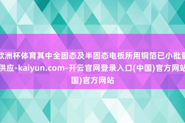 欧洲杯体育其中全固态及半固态电板所用铜箔已小批量供应-kaiyun.com-开云官网登录入口(中国)官方网站