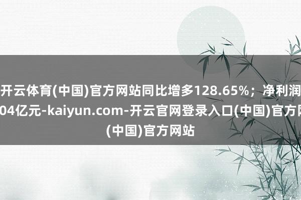 开云体育(中国)官方网站同比增多128.65%；净利润10.04亿元-kaiyun.com-开云官网登录入口(中国)官方网站