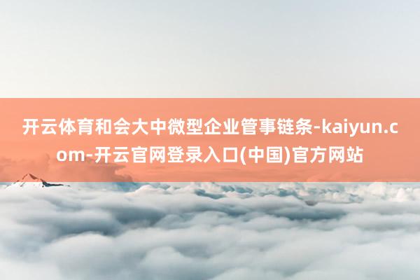 开云体育和会大中微型企业管事链条-kaiyun.com-开云官网登录入口(中国)官方网站