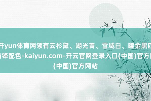 开yun体育网领有云杉黛、湖光青、雪域白、曜金黑四种前锋配色-kaiyun.com-开云官网登录入口(中国)官方网站