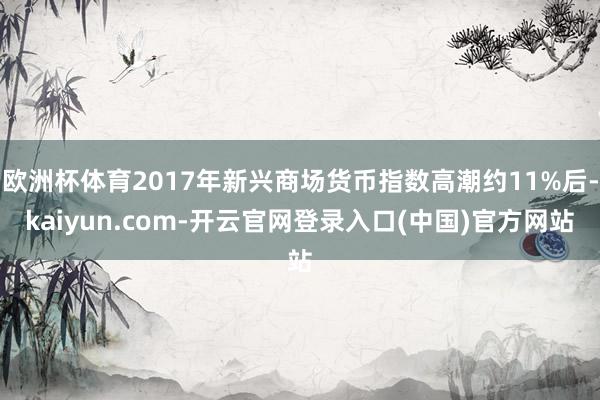 欧洲杯体育2017年新兴商场货币指数高潮约11%后-kaiyun.com-开云官网登录入口(中国)官方网站