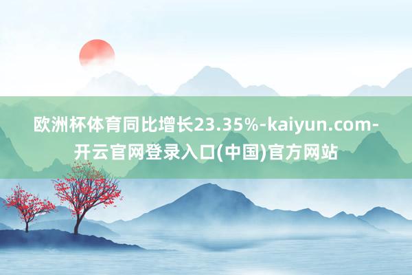 欧洲杯体育同比增长23.35%-kaiyun.com-开云官网登录入口(中国)官方网站